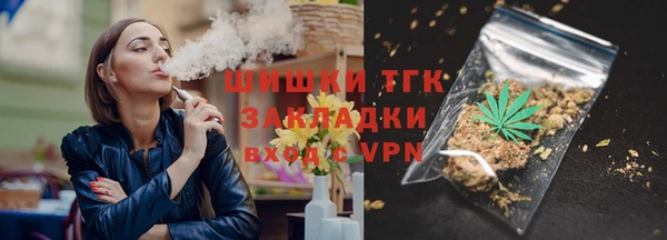 дмт Пестово