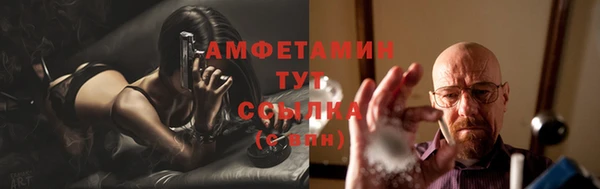 дмт Пестово