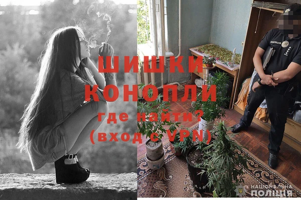мескалин Покачи