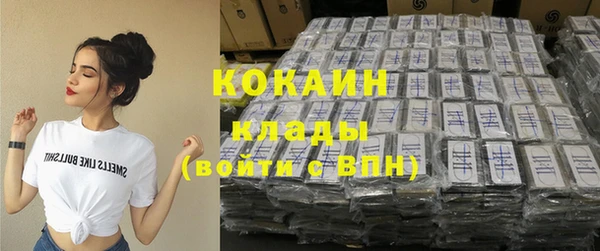 Альфа ПВП Лагань