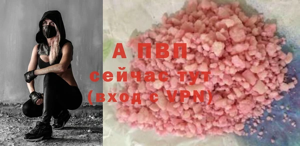 спайс Пересвет