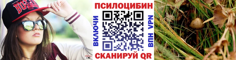 Псилоцибиновые грибы прущие грибы наркотики Багратионовск
